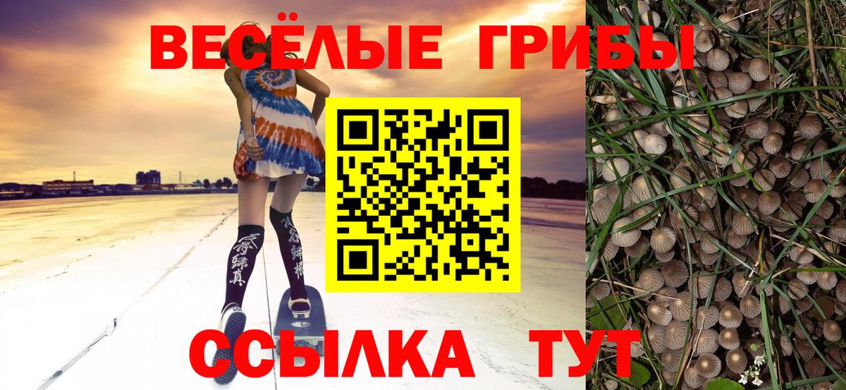Галлюциногенные грибы ЛСД Валуйки